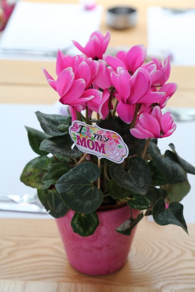 Lycee Montaigne Mother's Day Brunch